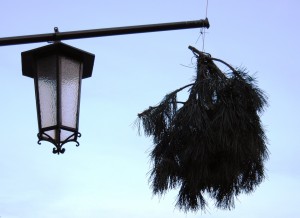 Pine branches suspended from a house in Austria announce the availability of homemade wine.