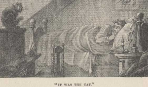 The wild cat in the bedroom.  Mark Twain, A Tramp Abroad, 1880 ed., public domain.