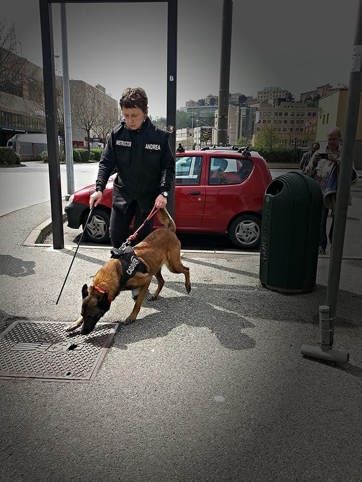 Andrea Pintar with one of her cadaver dogs.