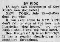 Fido as a newspaper author