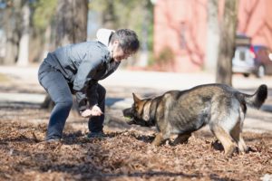 Cat Warren training her cadaver dog, Jaco.