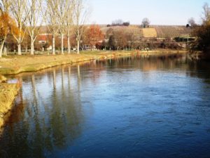 The banks of the Neckar where Regiswindis was probably found.